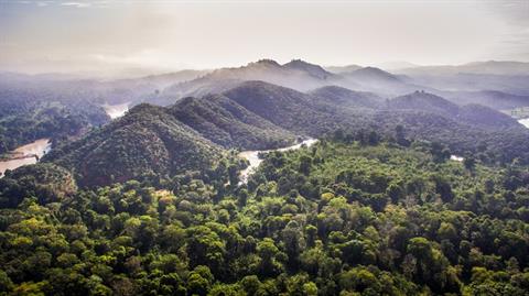 Kết quả ứng dụng khoa học công nghệ lâm ghiệp trong phát triển rừng trồng năng suất và chất lượng cao tại tỉnh Tuyên Quang