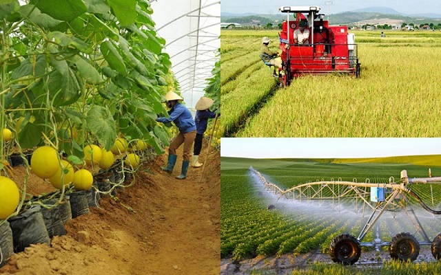 Vai trò của nông nghiệp với phát triển kinh tế