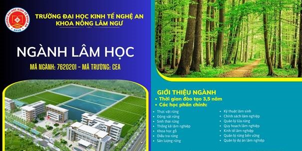 Ngành Lâm học Trường Đại học Kinh tế Nghệ An – Sự quan tâm của các bạn trẻ