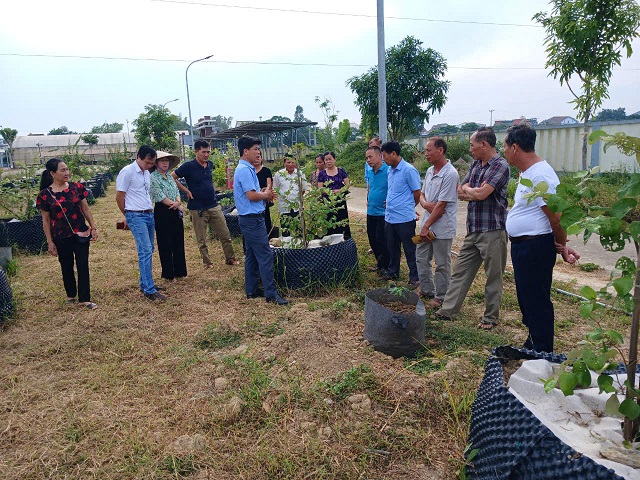 Khoa Nông Lâm Ngư tổ chức tập huấn cho nông dân xã Hưng Đông, thành phố Vinh