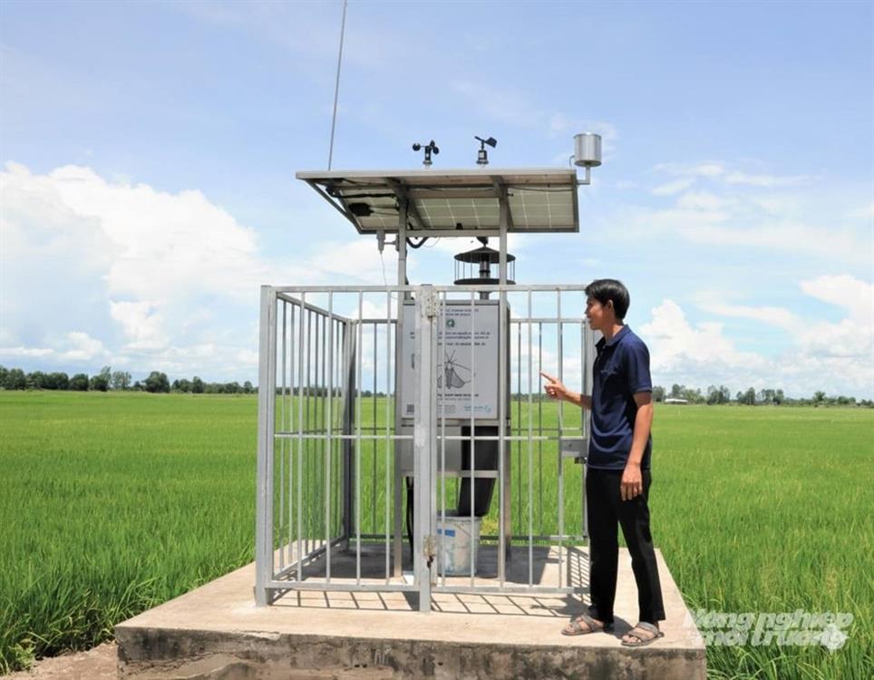 'Mắt thần' canh gác ruộng lúa