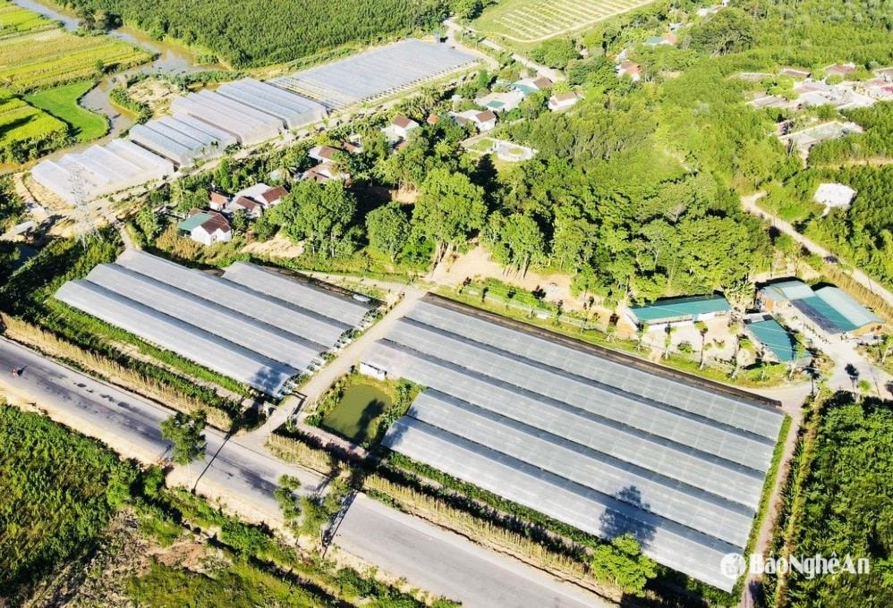 Nghệ An ứng dụng công nghệ cao vào sản xuất nông nghiệp