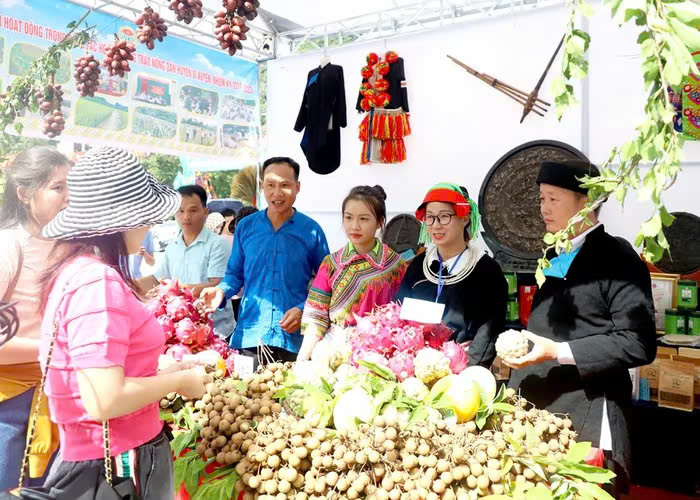 Thúc đẩy sản xuất nông nghiệp hữu cơ