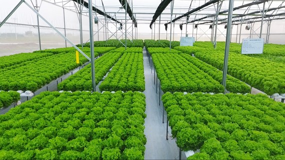 Ngành “Nông nghiệp công nghệ cao” - Trường Đại học Nghệ An