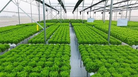 NGÀNH NÔNG NGHIỆP CÔNG NGHỆ CAO – HỌC NGÀY NAY, LÀM CHỦ CÔNG NGHỆ NGÀY MAI!