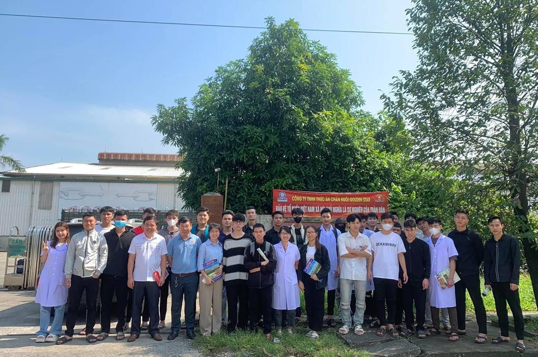 Cảm nghĩ của sinh viên sắp ra trường