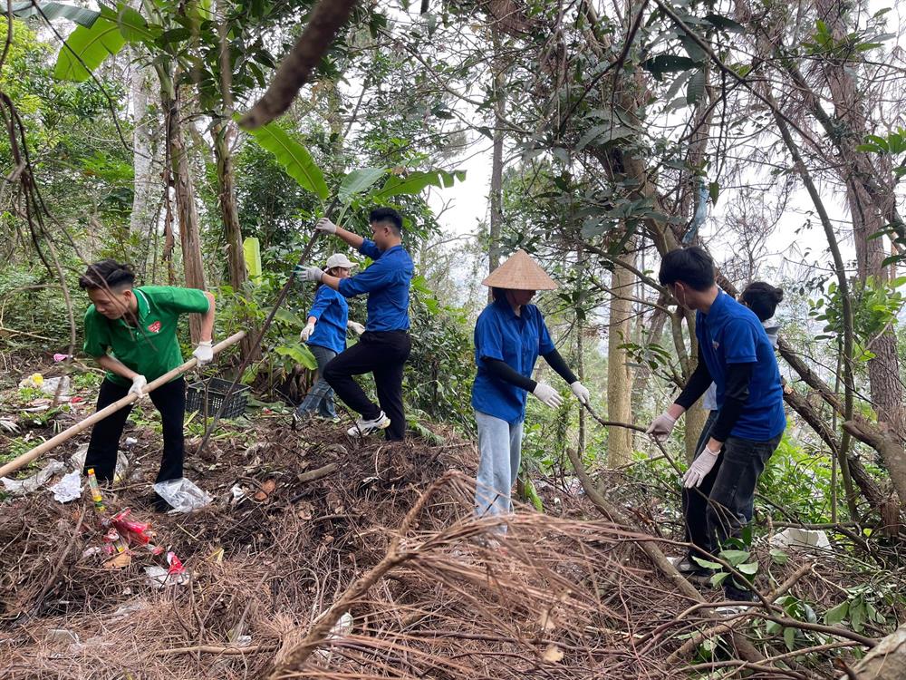 Chung tay bảo vệ rừng - lan toả giá trị xanh