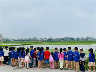 Lớp học mở giữa cánh đồng xanh