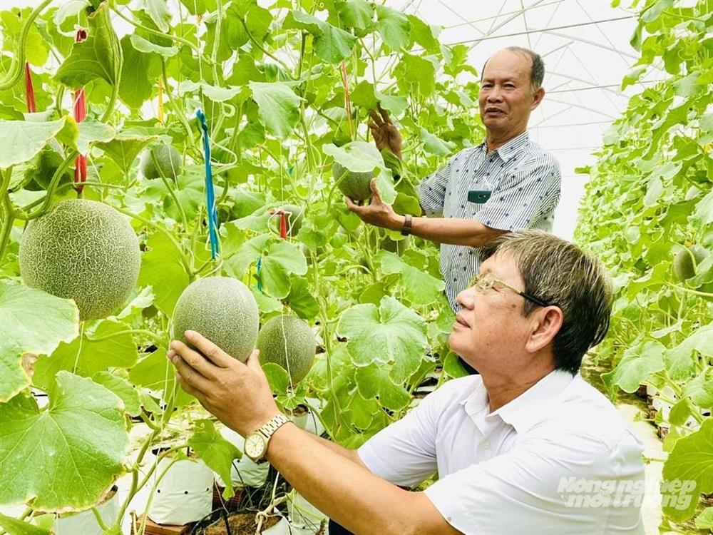 Đổi mới sáng tạo kích hoạt nông nghiệp bứt phá