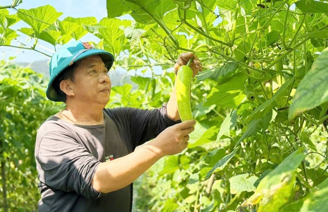 Giống mới, kỹ thuật mới - đòn bẩy giúp nông dân làm giàu trên đất màu