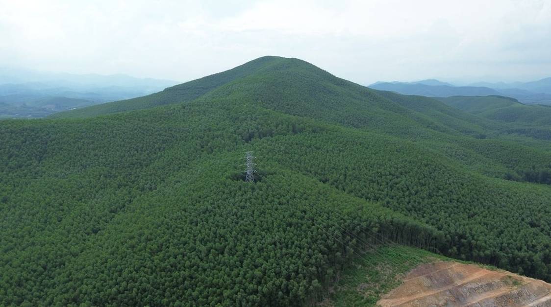 Nghệ An chủ động giữ vững ‘tấm vé xanh’ vào thị trường EU