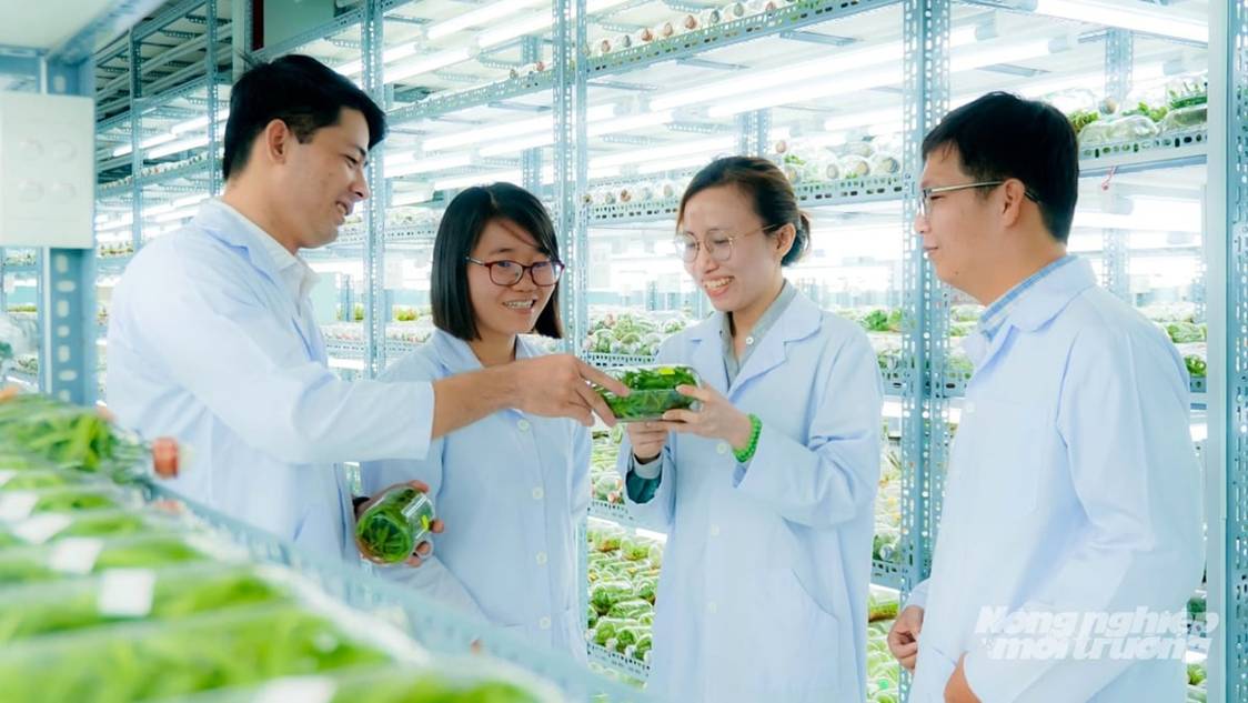 Doanh nghiệp nông nghiệp công nghệ cao làm ăn hiệu quả sau quá trình ươm tạo